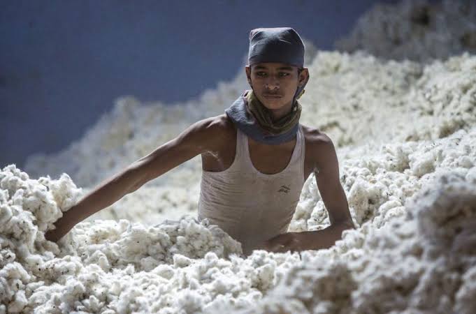 NBR withdraws 2pc AIT duty on imports of cotton, other fibres