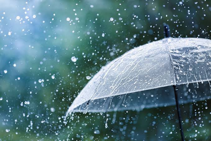 Rainy days ahead as low lingers over Bay