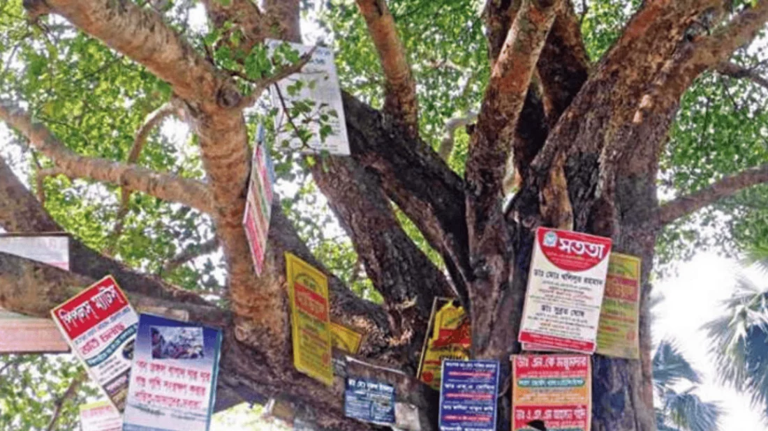 গাছে পেরেক লাগালে জরিমানা ২০ হাজার টাকা, নতুন অধ্যাদেশ জারি