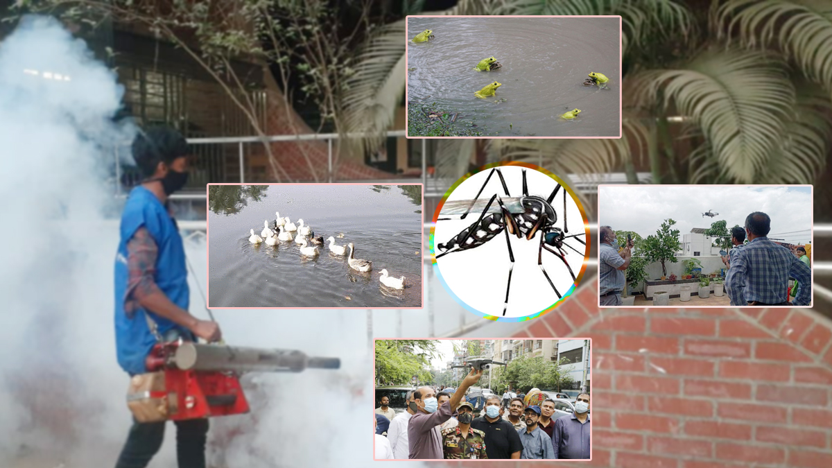 মশার কামড়ে অতিষ্ঠ ঢাকাবাসী