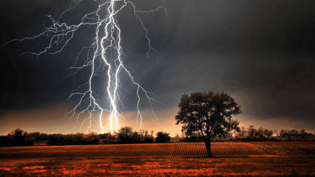 Eight killed in lightning strikes