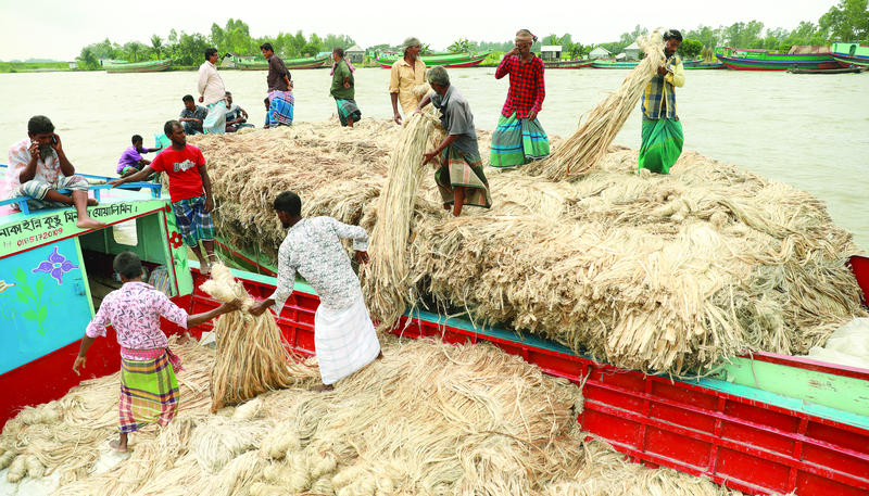 Jute on track of getting back its golden days