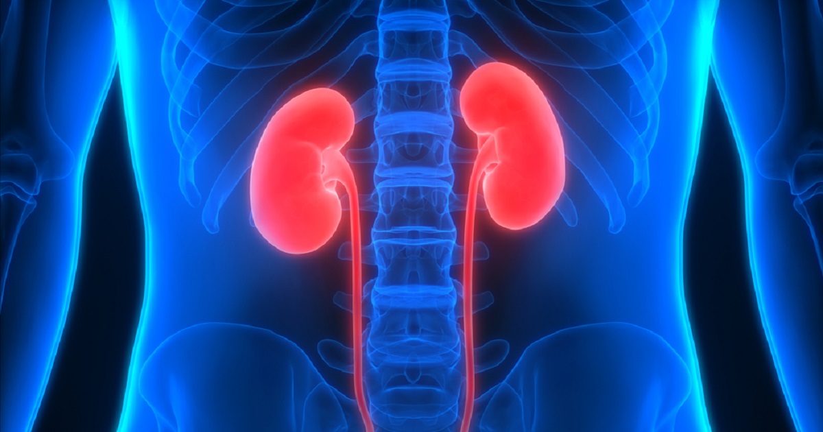54 kidney patients die each day for lack of donors: Experts