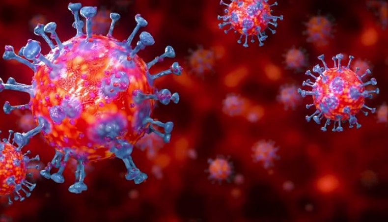 JUST confirms 18 more coronavirus cases