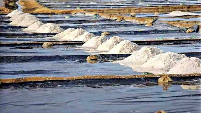 Official data mismatch allows traders to deprive salt farmers