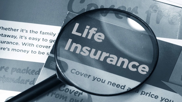 Life insurers to come under special audit