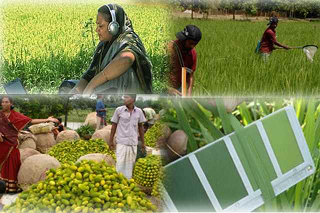 Agro-processing exports set to hit $1.0b: USAID report