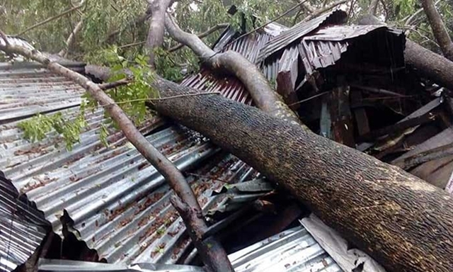Cyclone Bulbul claims 13 lives in Bangladesh