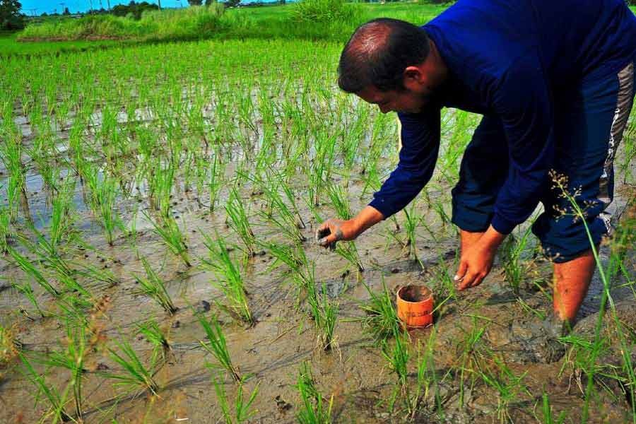 Experts welcome agri stimulus, stress on proper distribution 