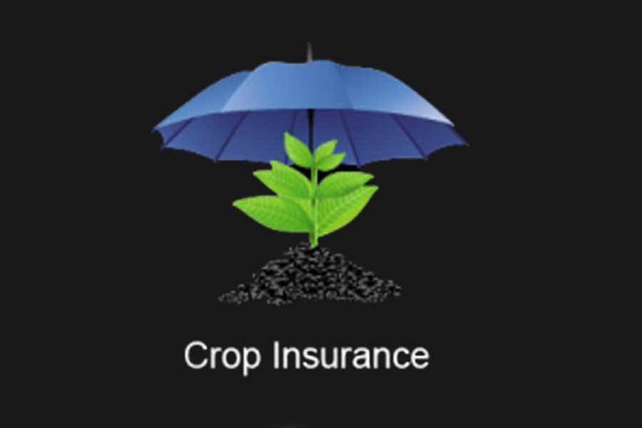 SBC introduces crop insurance for haor
