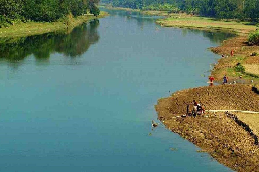 Preserving biodiversity: Govt plans to revive small rivers, canals, wetlands