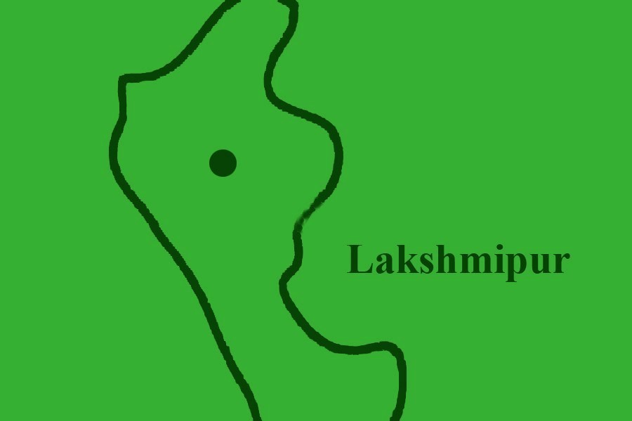 Lakshmipur man pleads guilty to killing daughter