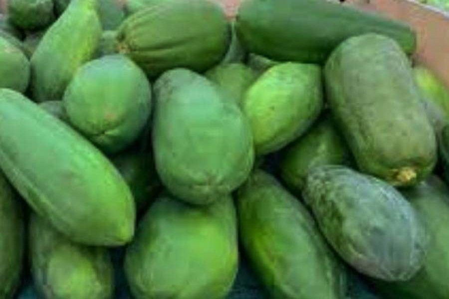 Price of green papaya soars