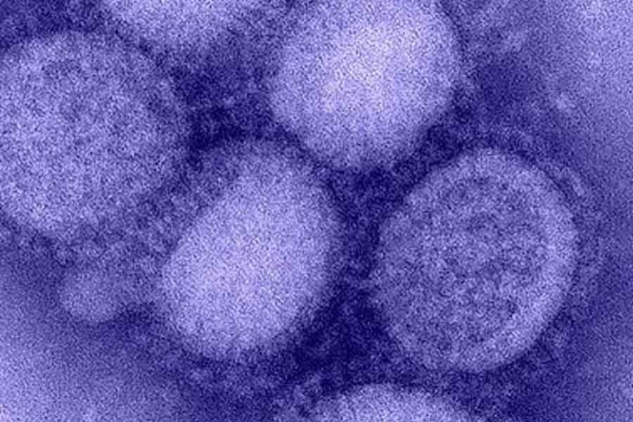 Flu virus with 'pandemic potential' detected in China