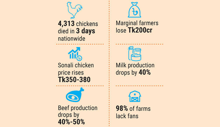 Oppressive heatwave burns livestock, poultry sectors!