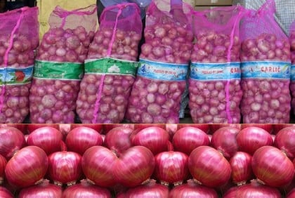 India extends curbs on onion exports till 31 March
