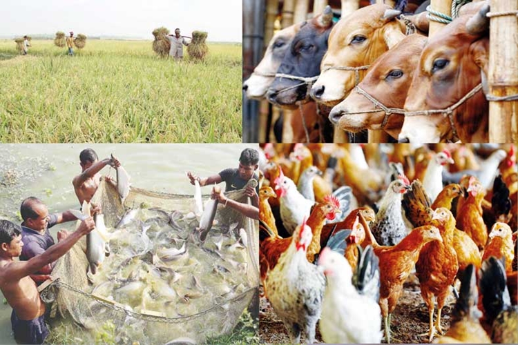 Poultry, fisheries, livestock sectors made tax-free