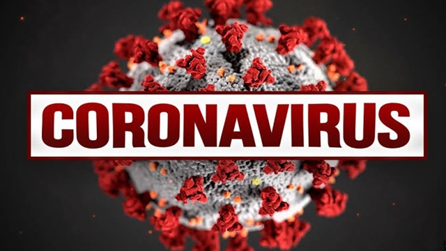 Coronavirus can survive both hot, humid climates: WHO