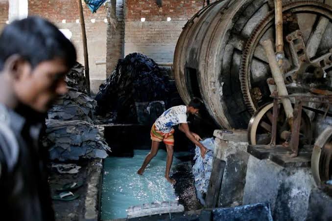 Tanneries releasing excess chromium likely to be shuttered