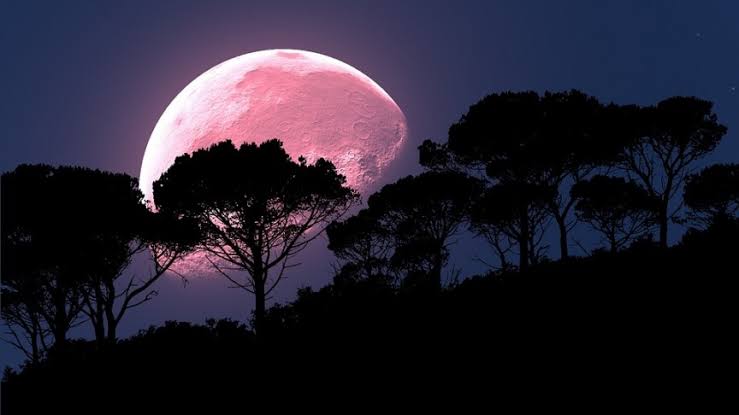 Largest supermoon of 2020 rises on a world battling COVID-19