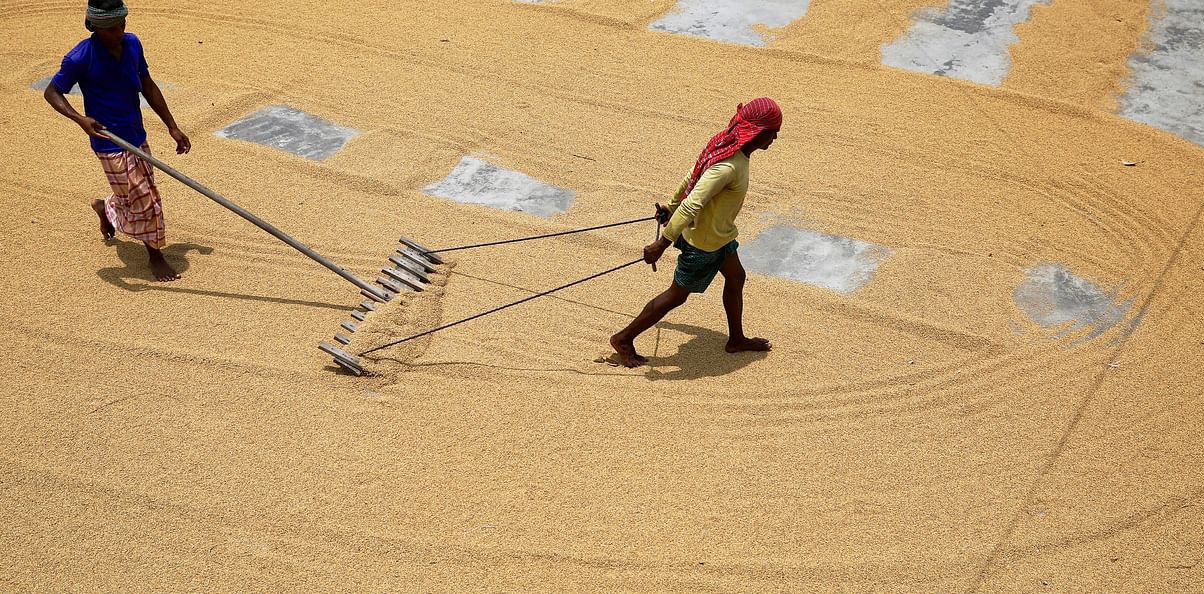BD, India finalising first bilateral rice deal in three years