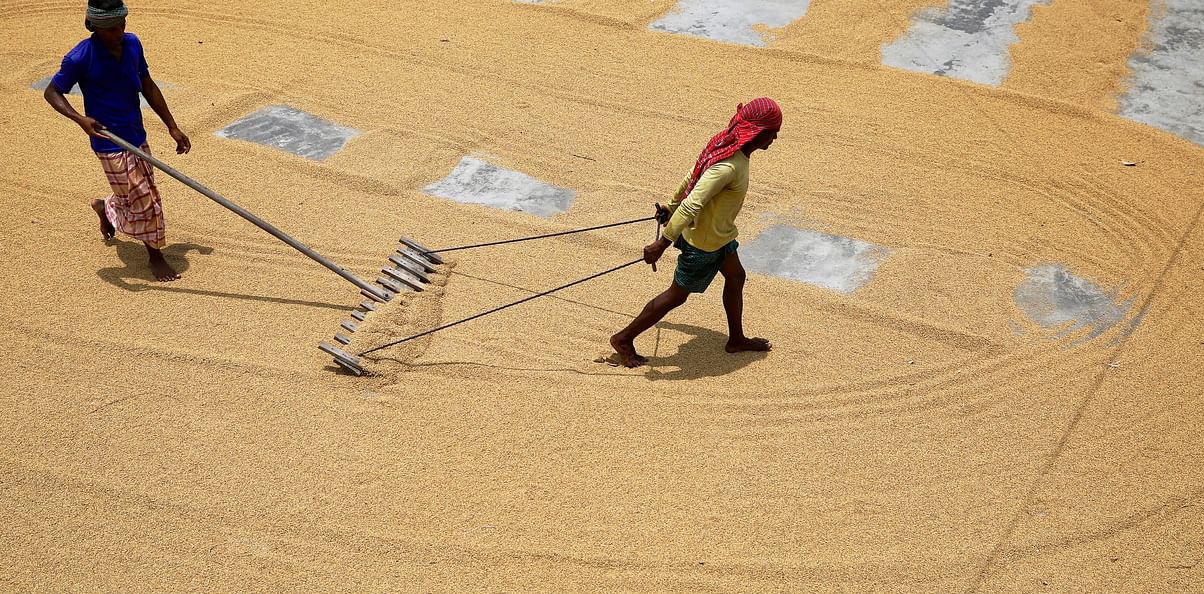 Govt cuts duty on rice import