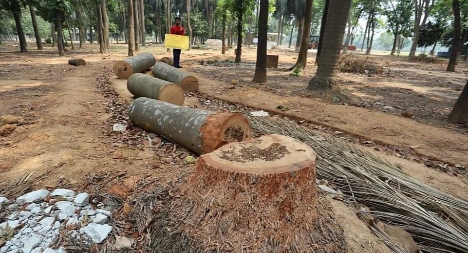Stop tree cutting at Suhrawardy Udyan till May 20: HC