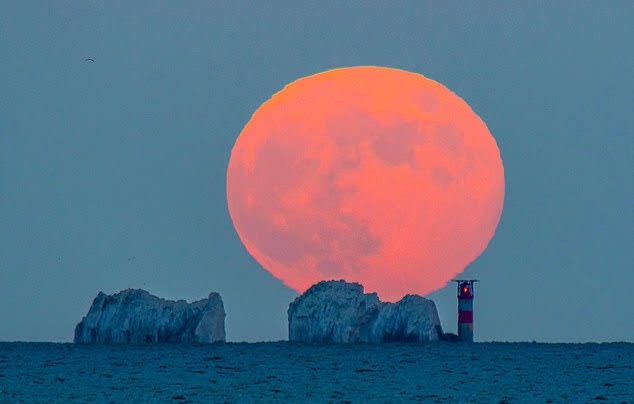 Strawberry Moon to appear in night sky on Thursday