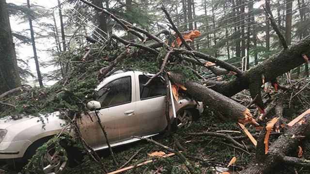 24 killed in Himachal, 3 in Punjab as heavy rain lashes north India