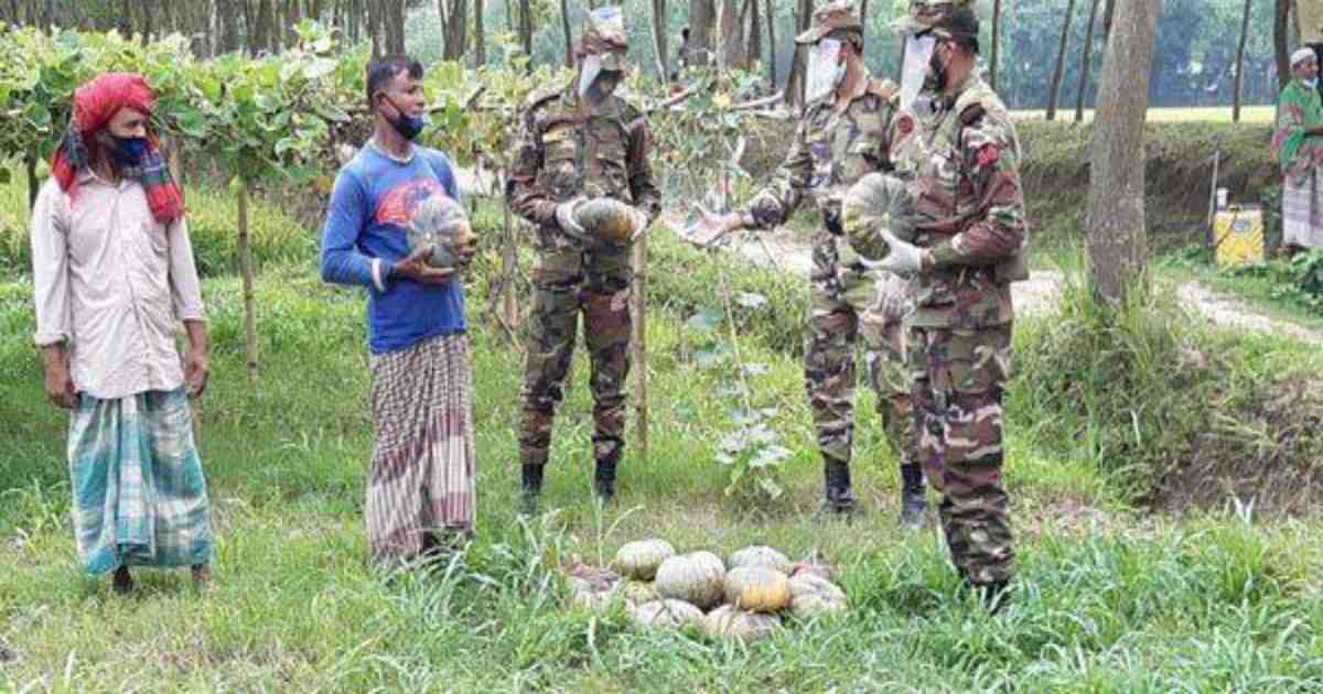 Army’s vegetable procurement reduces farmers’ woes 