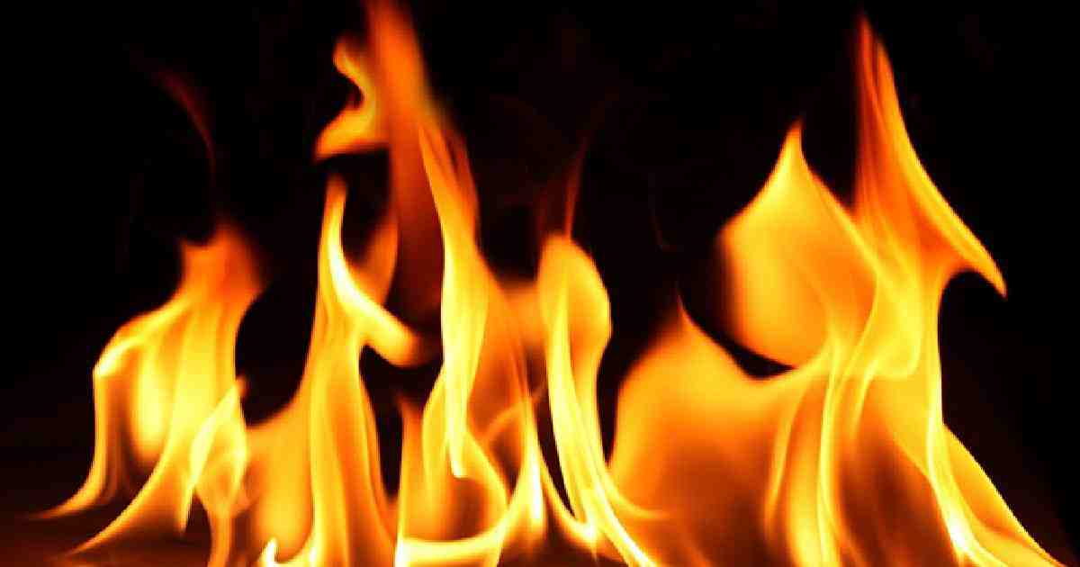 3 burned dead in city fire 