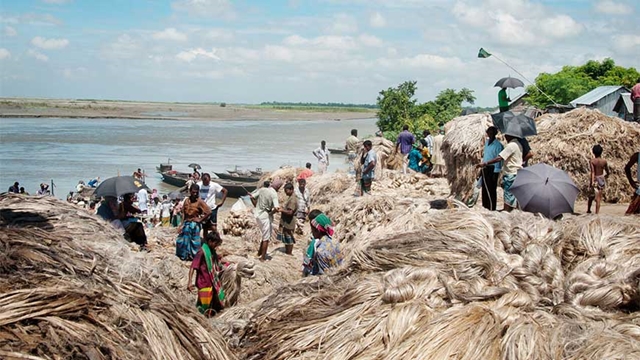 Jute production doubled since independence