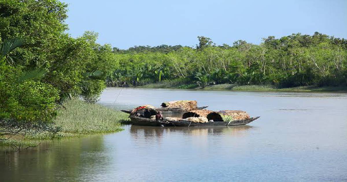 Sundarbans: The physical buffer that needs a rest  