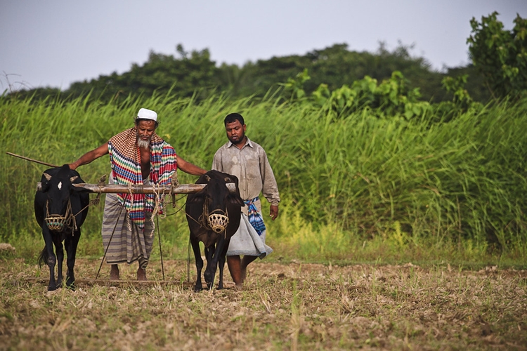 BB gives Tk 5.3m to marginal farmers in Cox's Bazar