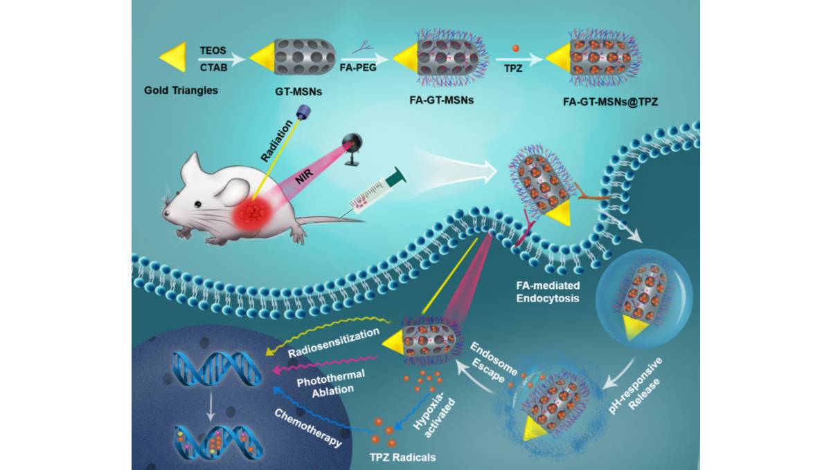 Chinese scientists develop new material for treatment of liver cancer