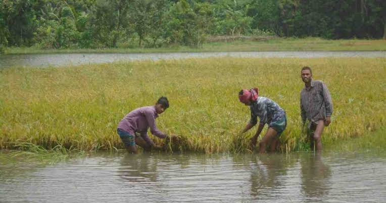 Farmers suffer as flood lingers