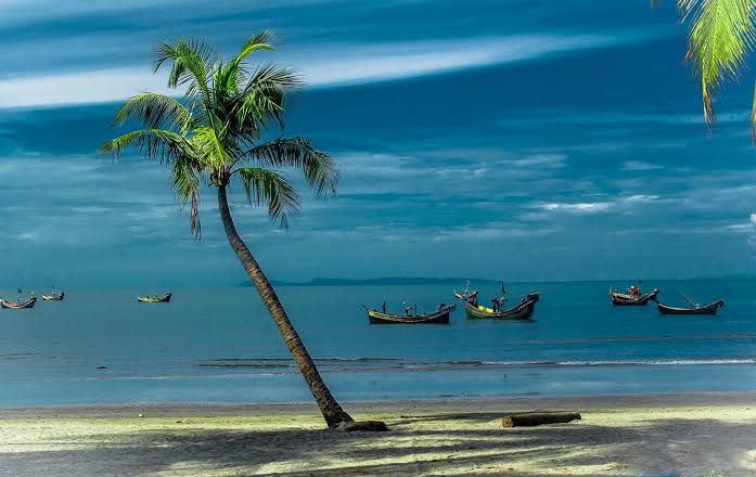 Blue economy can largely benefit investors: Experts