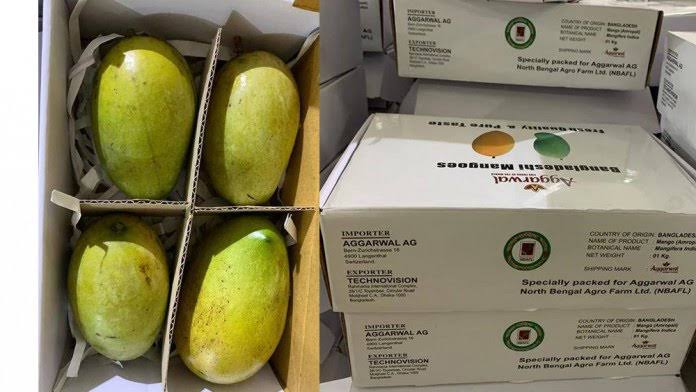 BD starts exporting mangoes to Switzerland