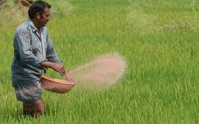 BCIC alerts admin to urea crisis rumours