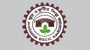 'BSCIC can play leading role in building industrialized BD'