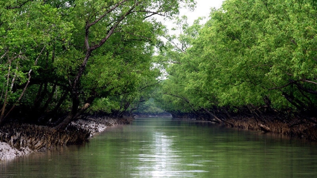 Bangladesh to invite WHC team to visit Sundarbans