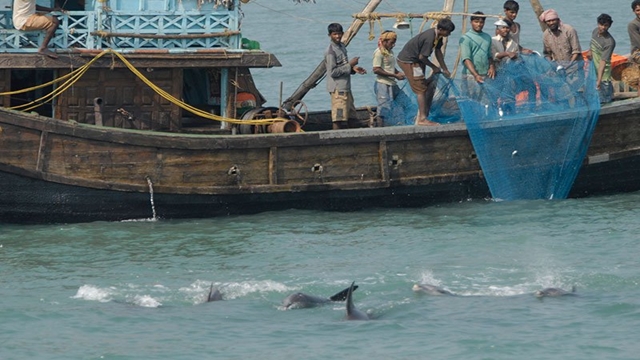 65-day ban ends: Fishermen resume fishing in Bay