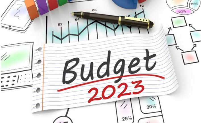 Economists term budget ambitious