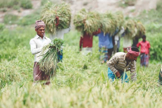 Country attains food security