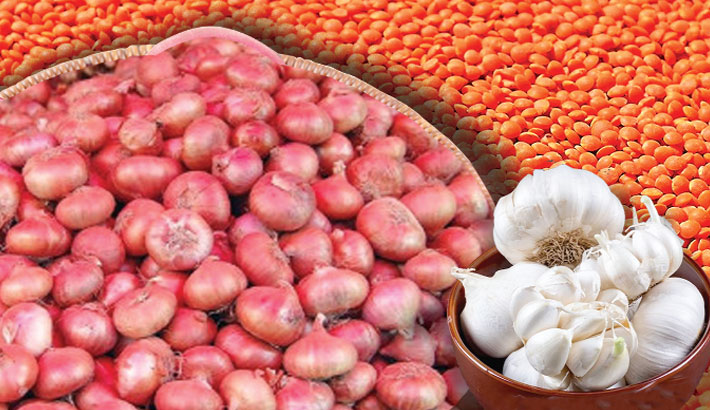 Onion, garlic, lentil imports increase