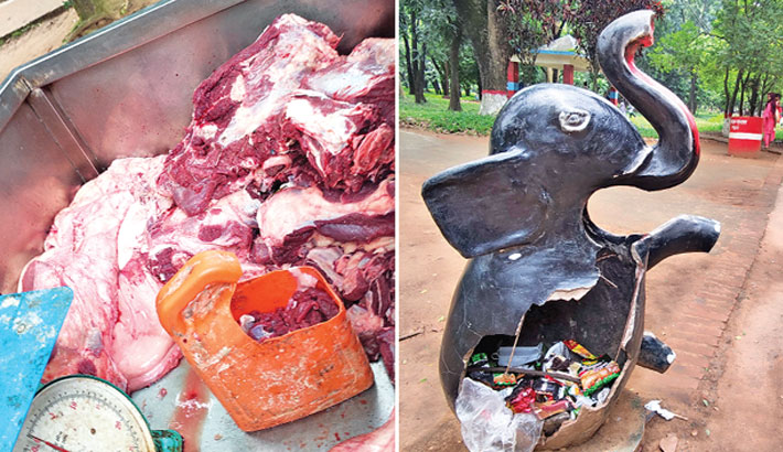 Animals not getting food on time in Dhaka Zoo