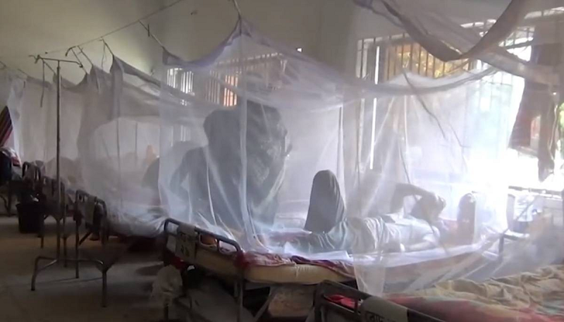Highest 287 dengue cases in 24hrs