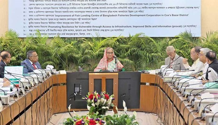 Take effective steps to get maximum benefit after LDC graduation: PM