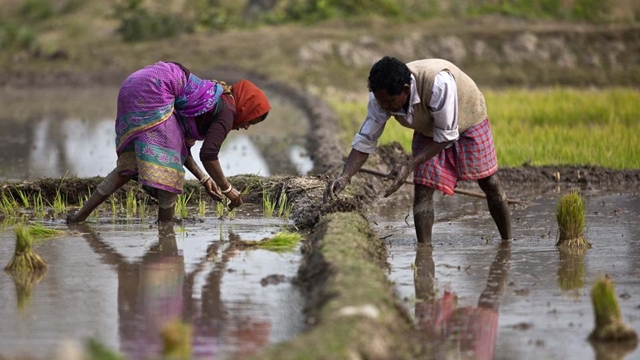 Call for law to ensure rights of landless, marginal farmers