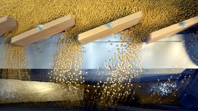China drops import tariff on BD feed ingredients